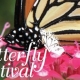 Butterfly Festival