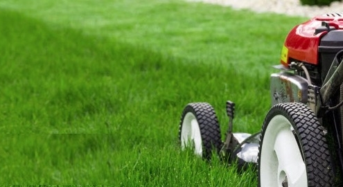 Outer Banks Ace - lawn care tips