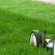 Outer Banks Ace - lawn care tips